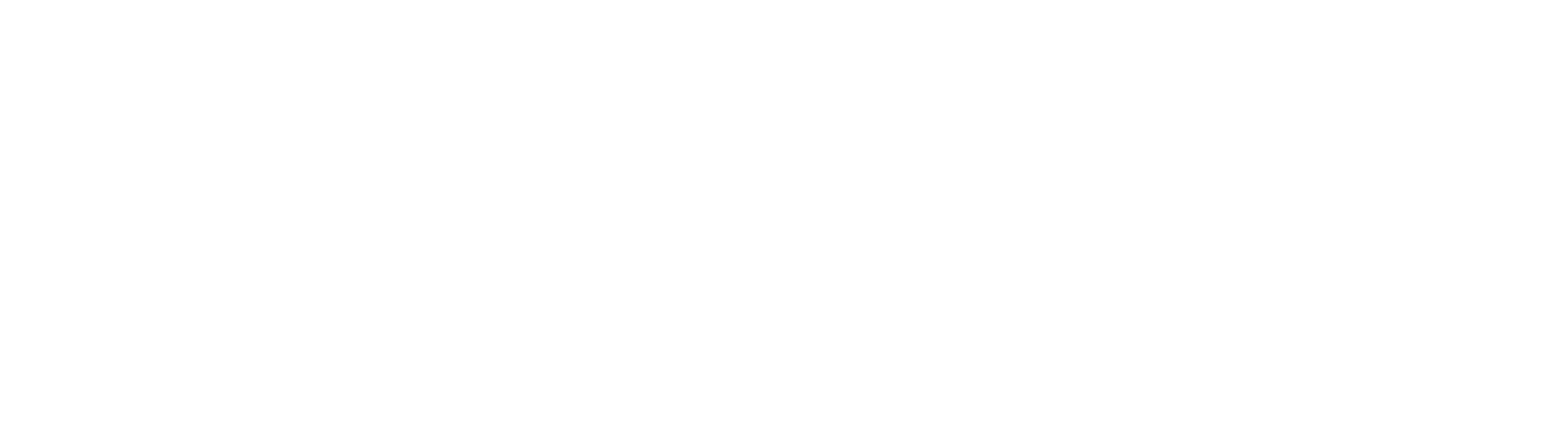 Soundself logo